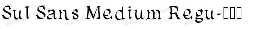 Sul Sans Medium Regu字体转换